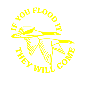   They will come -   187 .
