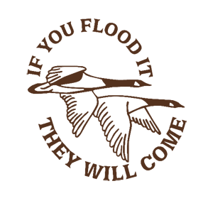   They will come -   187 .