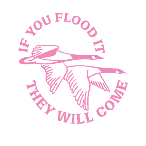   They will come -   187 .