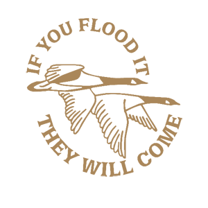 -  They will come -   187 .