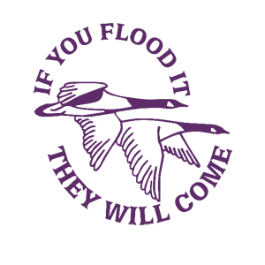   They will come -   187 .