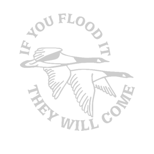   They will come -   187 .