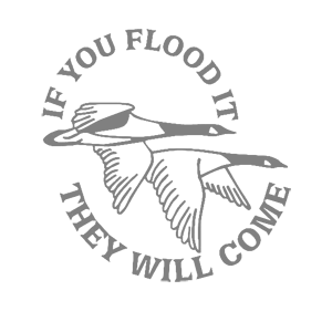  They will come -   187 .