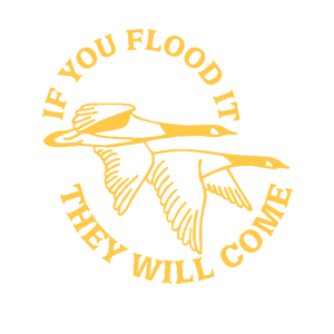   They will come -   187 .