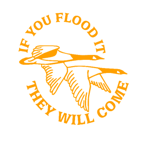   They will come -   187 .