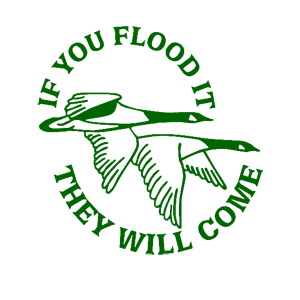   They will come -   187 .