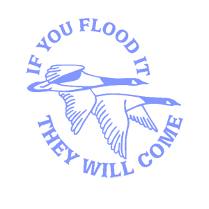   They will come -   187 .