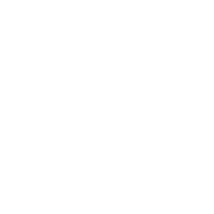         -   161 .