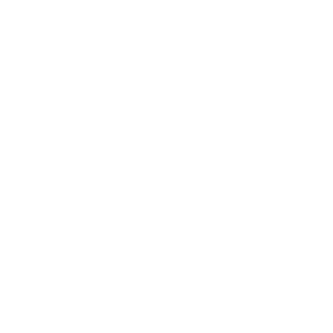        -   300 .