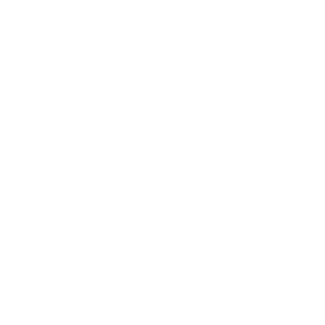      - -   133 .