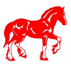     -   141 .