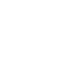 ����������� �� ����������� ����� �������� �������� - ������ �� 133 ���.