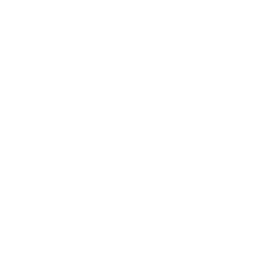      Chevrolet logo -   161 .