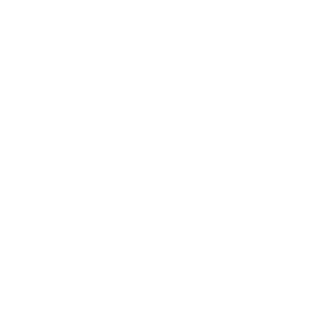         -   161 .