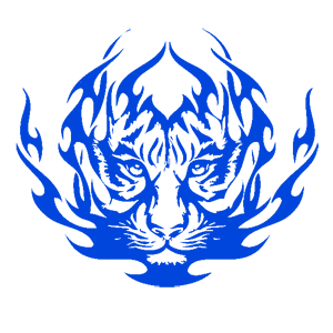        -   207 .