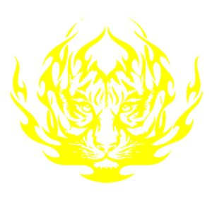        -   207 .