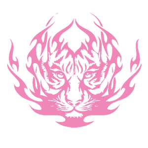        -   207 .
