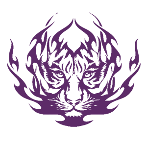        -   207 .