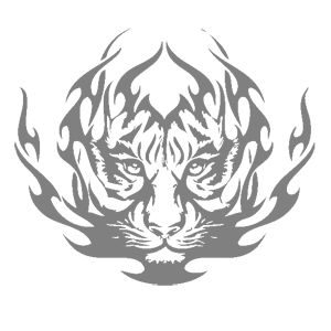     -   207 .