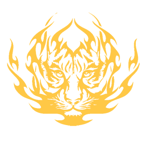        -   207 .