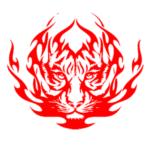        -   207 .