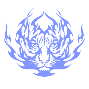     -   207 .