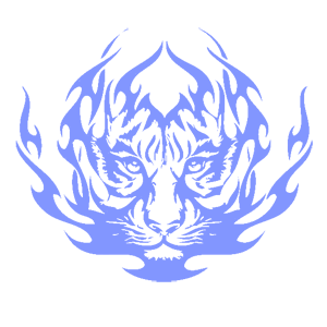        -   207 .