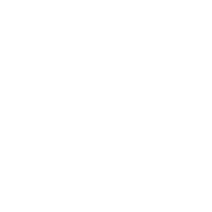     -   133 .