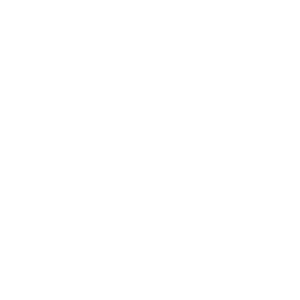        -   161 .