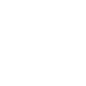 ����������� �� ����������� ����� �������� ������ - ������ �� 133 ���.