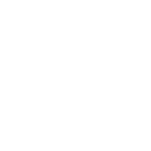      - -   133 .