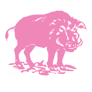       -   141 .