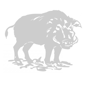       -   141 .