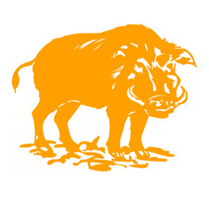      -   141 .