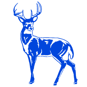    -   181 .