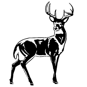       -   181 .