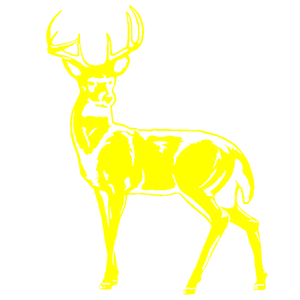    -   181 .