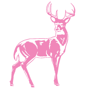       -   181 .