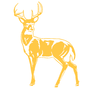    -   181 .