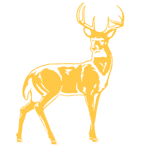       -   181 .