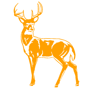    -   181 .