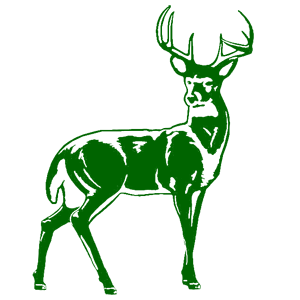       -   181 .