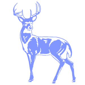    -   181 .