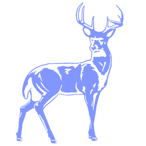       -   181 .
