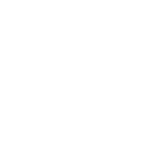       ! -   161 .