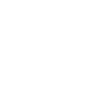        -   133 .