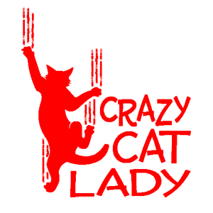  Crazy cat lady