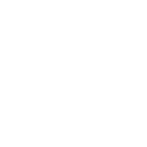      Kiss mouse -   88 .
