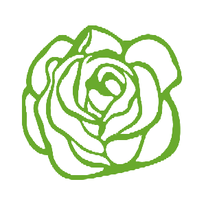 ����������� �� ����������� ������-������� �������� ������� - ������ �� 98 ���.