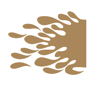    -    -   160 .